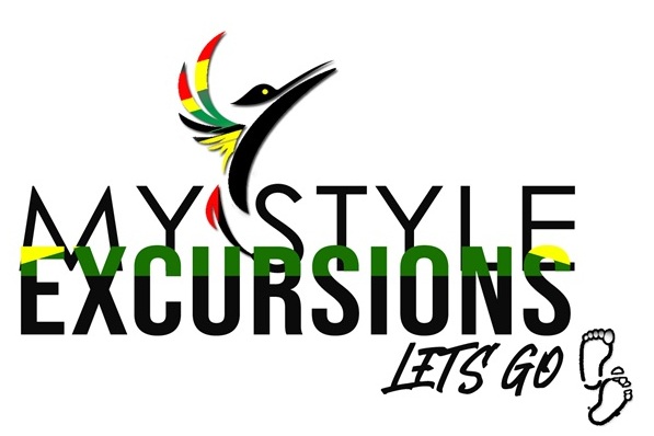 My Style Excursions logo